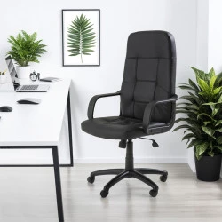 Fauteuil de bureau en cuir