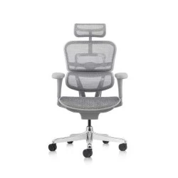 Fauteuil de bureau ergonomique Classic