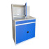 Armoire informatique idéale pour la protection et le rangement du matériel informatique en environnement salissant ( entrepôt, chaîne de production, manufacture...). Pupitre d'écriture. Peinture Epoxy. Armoire informatique idéale pour la protection et le rangement du matériel informatique en environnement salissant ( entrepôt, chaîne de production, manufacture...). Pupitre d'écriture. Peinture Epoxy.
