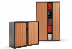 Armoire de bureau pour professionnels