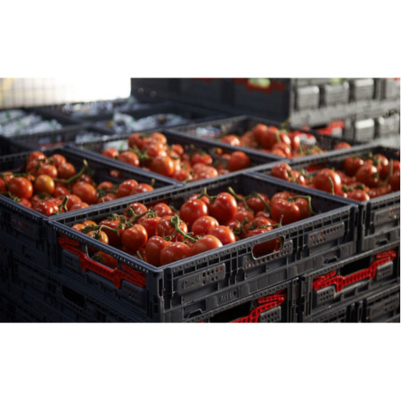 Bac Europe 600 x 400 pliable ajouré Bac Europe 600 x 400 pliable ajouré