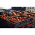 Bac Europe 600 x 400 pliable ajouré Bac Europe 600 x 400 pliable ajouré