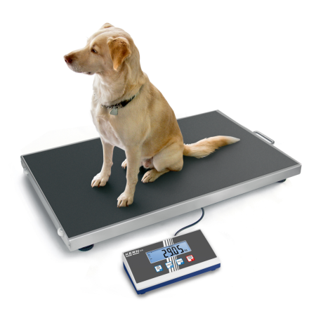 balance plateforme inox balance plateforme inox