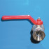 Benne basculante à copeaux avec roulettes type SKM Benne basculante à copeaux avec roulettes type SKM