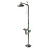 Combiné douche et laveur d'yeux en inox Combiné douche et laveur d'yeux en inox