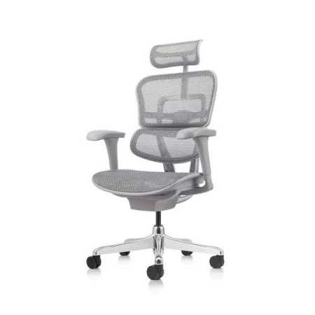 Appui lombaire 6D ajustable pour soulager le mal de dos - Siège Ergohuman Appui lombaire 6D ajustable pour soulager le mal de dos - Siège Ergohuman