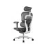 fauteuil-ergonomique-ergohuman-classique fauteuil-ergonomique-ergohuman-classique