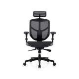Fauteuil ergonomique Fauteuil ergonomique