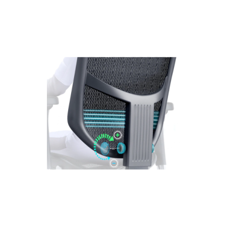 Fauteuil Ergohuman support lombaire Fauteuil Ergohuman support lombaire