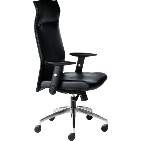 Fauteuil de direction accoudoirs 1D Fauteuil de direction accoudoirs 1D