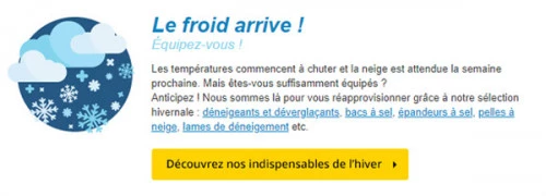 Grand froid 2020