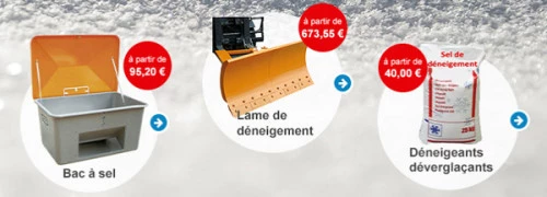 Grand froid 2020