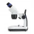 Microscope stéréo avec support colonne Microscope stéréo avec support colonne