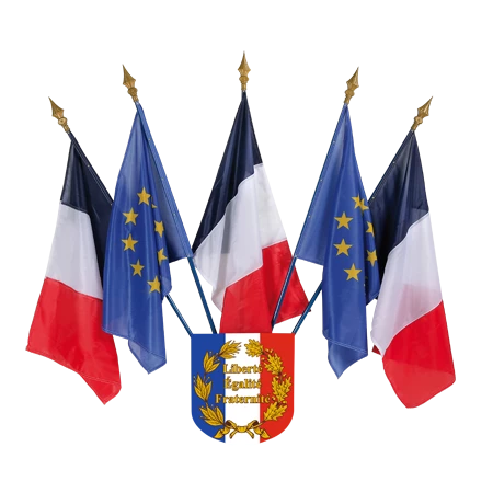 Drapeau France 60x90 cm - Drapeau Français