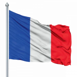 AZ FLAG Drapeau France 45x30cm HAMPE Noire - Lot de 10 Drapeaux français 30  x 45 cm : : Sports et Loisirs