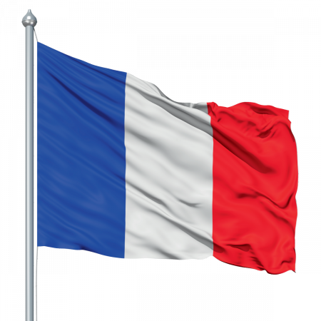 Drapeau France sur hampe - 150 x 100 cm - lot de 5 