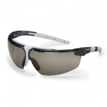 Lunettes de protection à branches flexibles