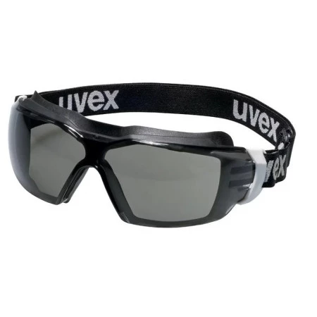 Lunettes de protection panoramiques