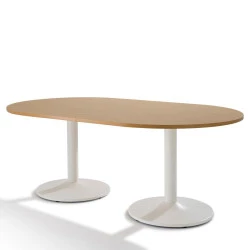 Table de réunion ovale piètement tulipe