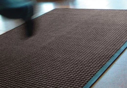 Tapis d'entrée